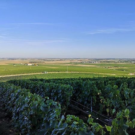 Gite "La Bulle De Lena" Avec Petit-Dejeuner Garage Et Parking Flavigny Buitenkant foto