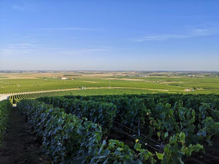 Gite "La Bulle De Lena" Avec Petit-Dejeuner Garage Et Parking Flavigny Buitenkant foto